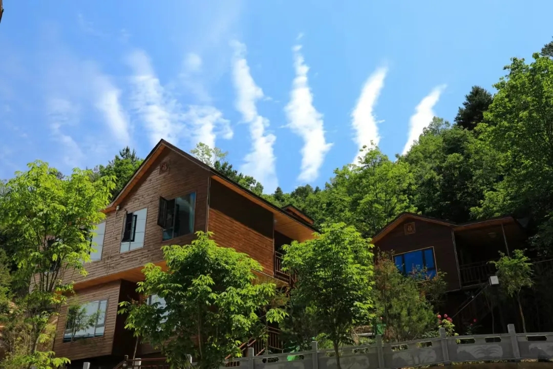 1733725140576297.jpg 640.webp (1).jpg