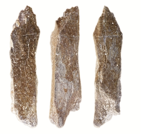 1740017711917600.png 9da5edfd76af376db434c139ee8fc636_42aff6109d19dfea2599dd62e386996d.png